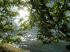 2007 04 21 Paris 325 .jpg